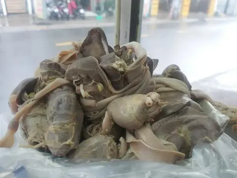 Hình ảnh Gỏi lòng vịt 