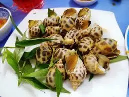 Hình ảnh ỐC HƯƠNG NƯỚNG MỌI