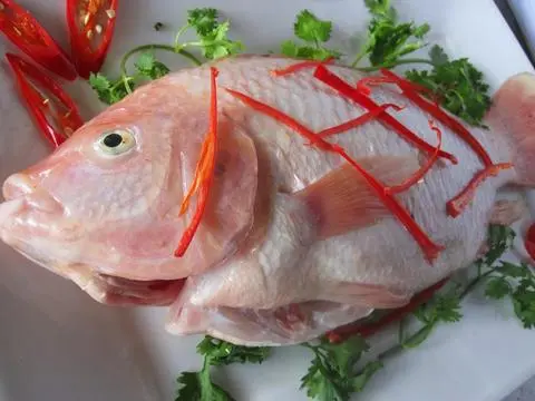 Hình ảnh 1 CÁ ĐIÊU HỒNG