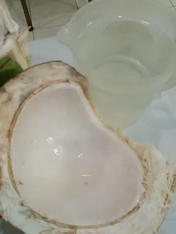 Hình ảnh Dừa tắc( khổng lồ)