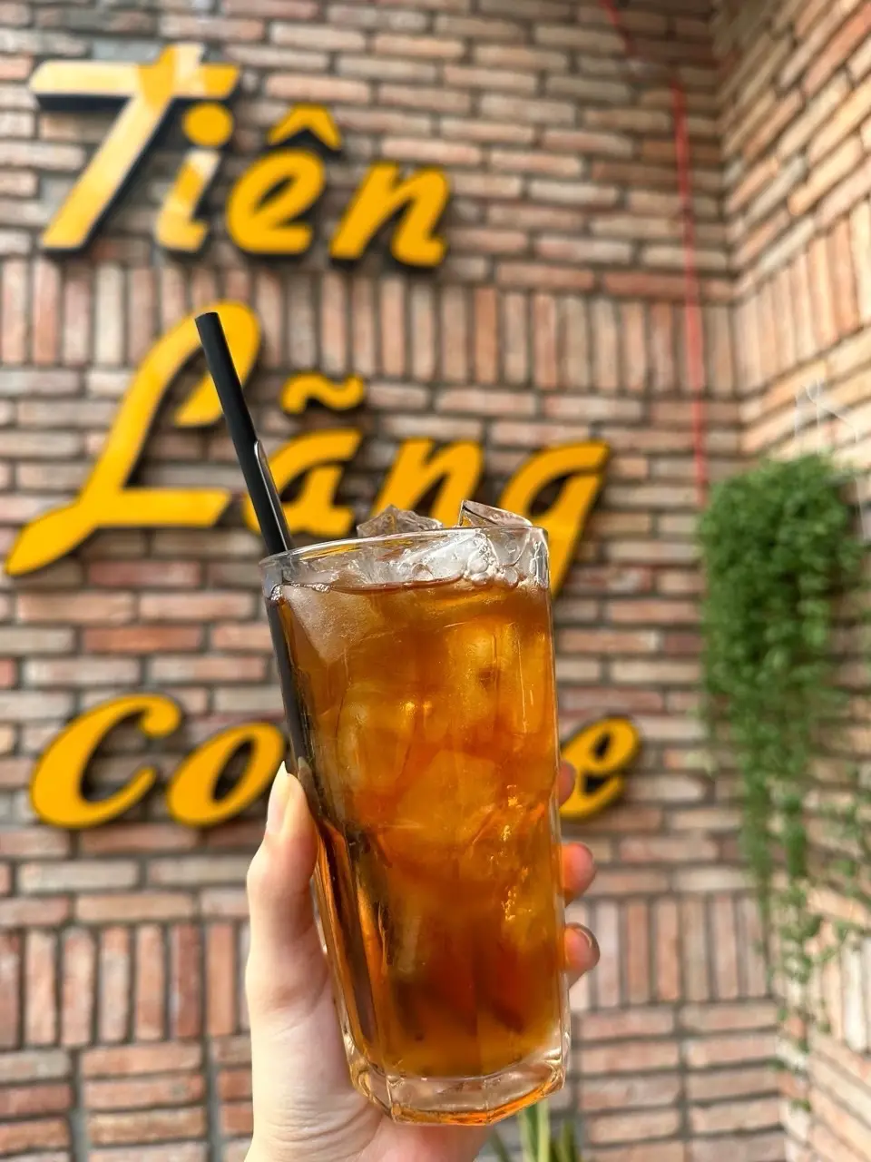 Hình ảnh Trà bí đao