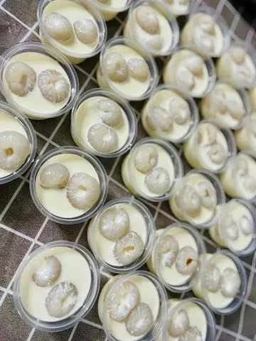 Hình ảnh KHÚC BẠCH VẢI