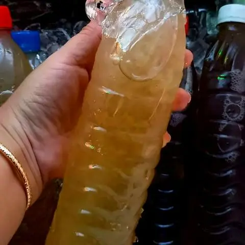 Hình ảnh Nước Nha Đam