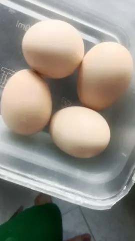 Hình ảnh trứng gà ta 