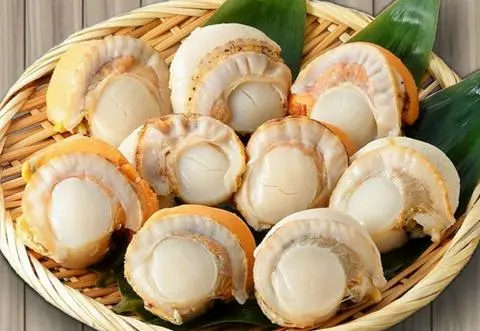 Hình ảnh Sò Điệp