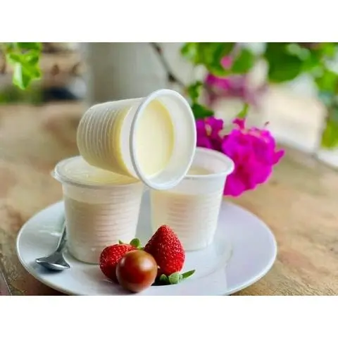 Hình ảnh Sữa chua hủ