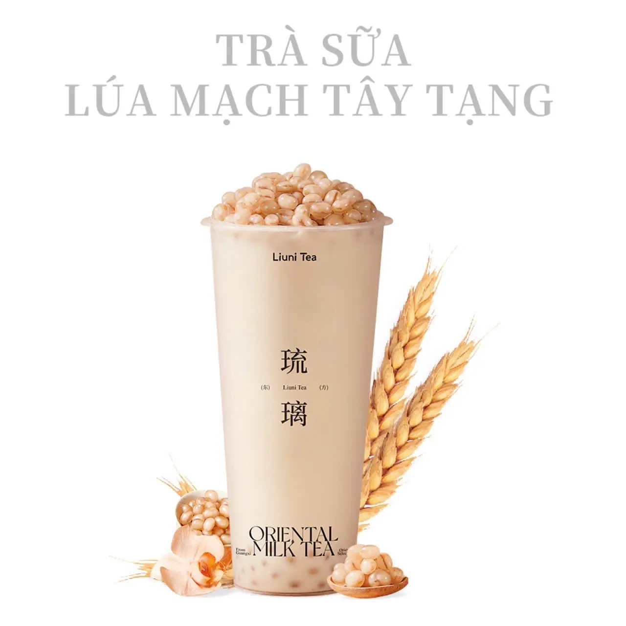 Hình ảnh Trà sữa lúa mạch Tây Tạng