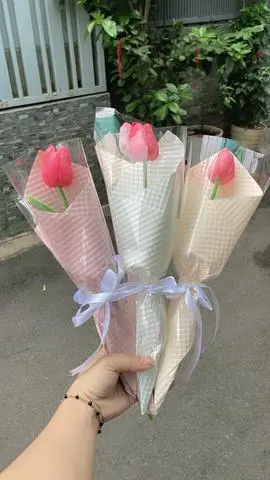 Hình ảnh hoa tulip 