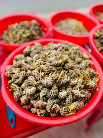 Hình ảnh Ốc Hương Hấp Sả Phần Nhỏ 