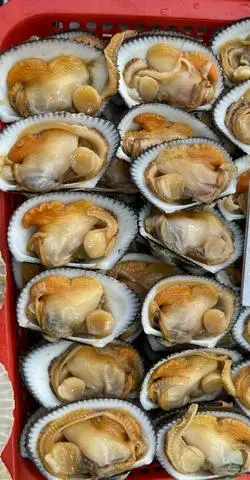 Hình ảnh Sò Lông
