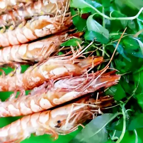 Hình ảnh Tôm sú nướng mọi