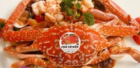 Hình ảnh 1 GHẸ CƠ BẮP HẤP