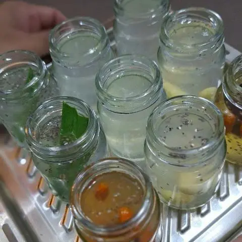 Hình ảnh YẾN CHƯNG HẠT CHIA 