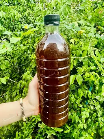 Hình ảnh TRÀ TẮC GHIỀN chai 1 lít