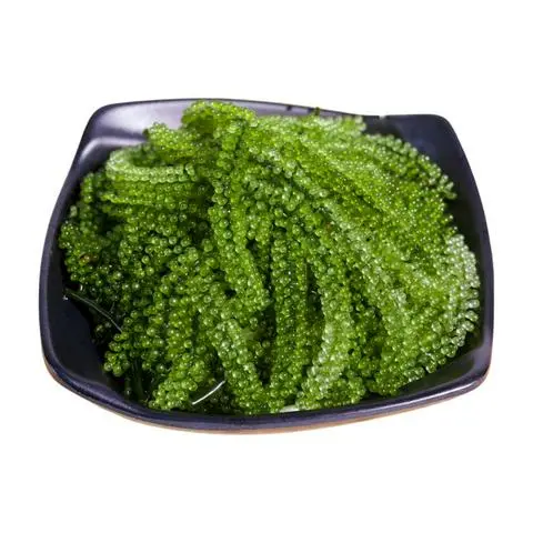 Hình ảnh Rong Nho Tươi 100g