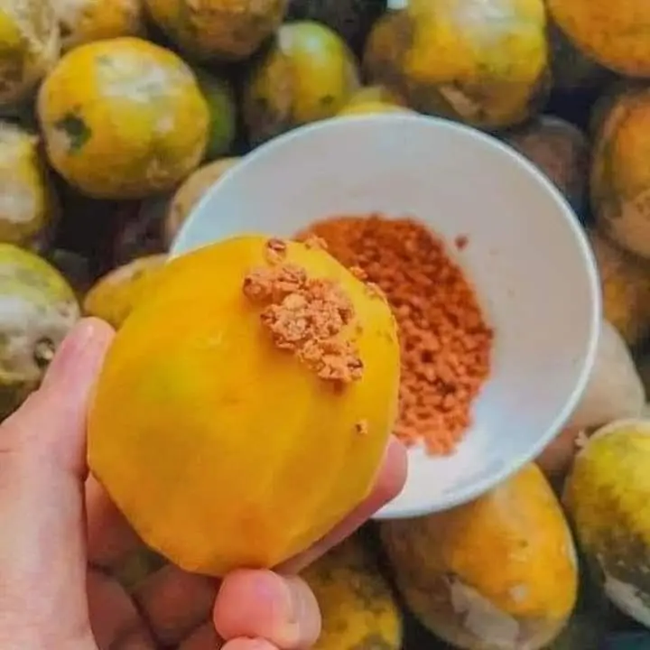 Hình ảnh Phần Cóc Chín