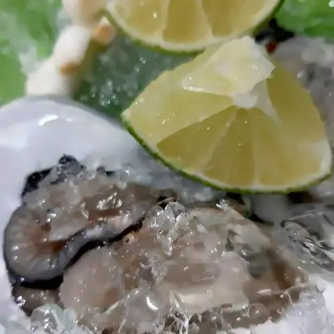 Hình ảnh Hàu sống tái chanh