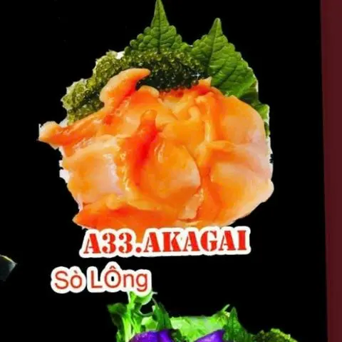 Hình ảnh a33 sò lông