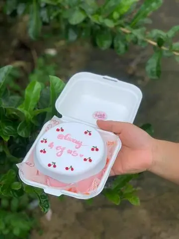 Hình ảnh bánh kem bento mã 08