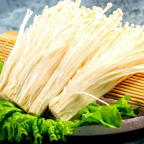 Hình ảnh Nấm Kim Châm Thêm