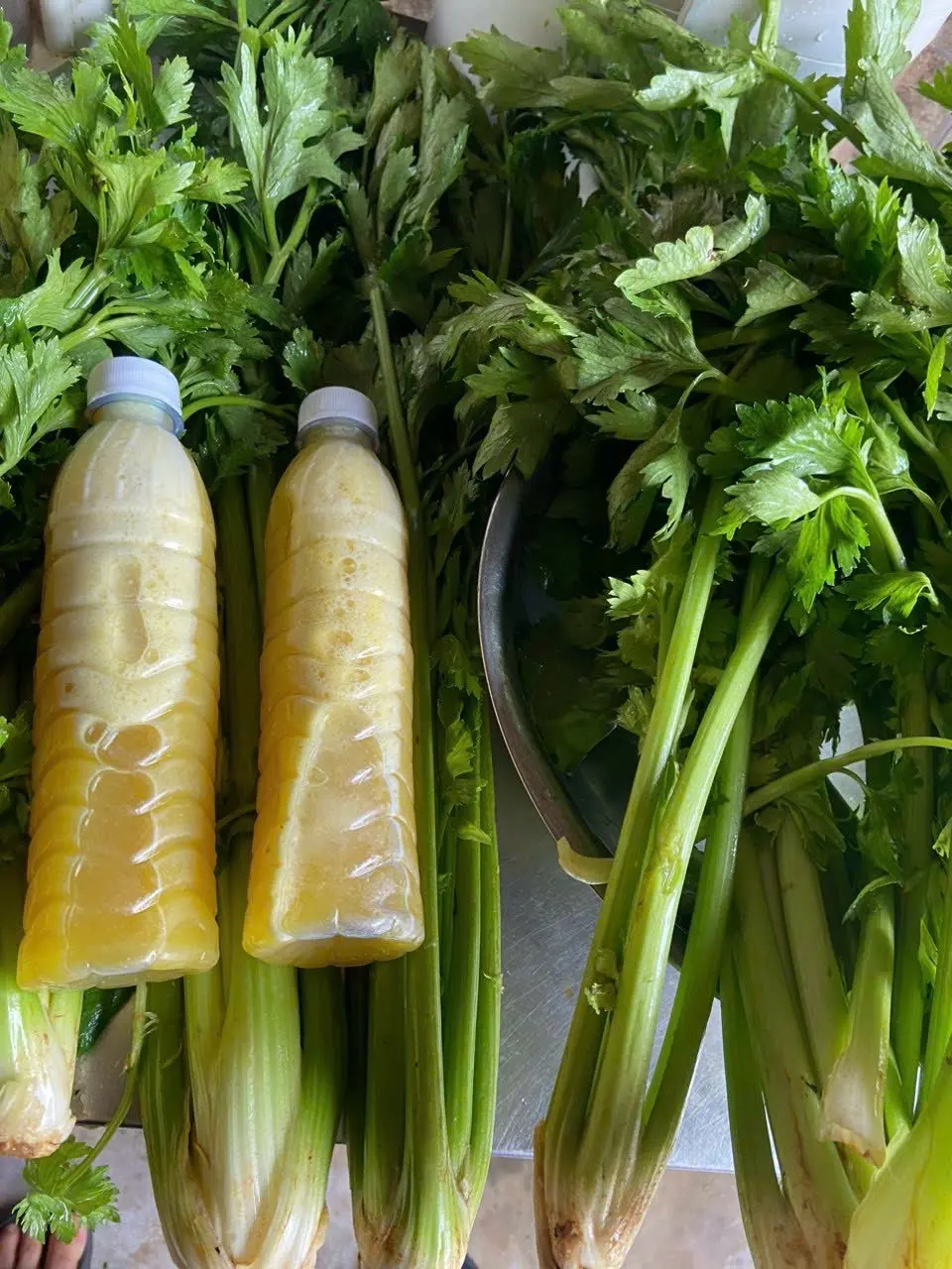 Hình ảnh Bưởi - hạt chia