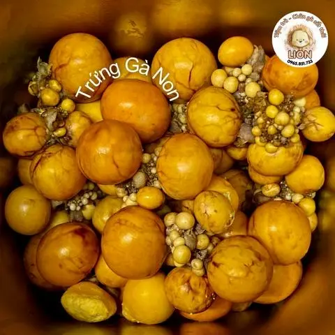 Hình ảnh trứng gà non