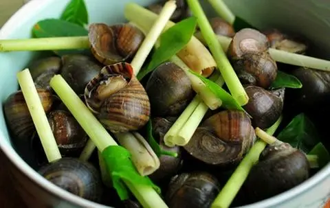 Hình ảnh Ốc Lác Hấp Sả _ 500g