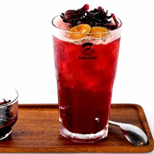 Hình ảnh Trà atiso đỏ - M