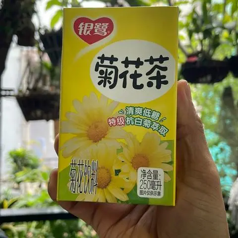 Hình ảnh Trà hoa cúc/Bí đao