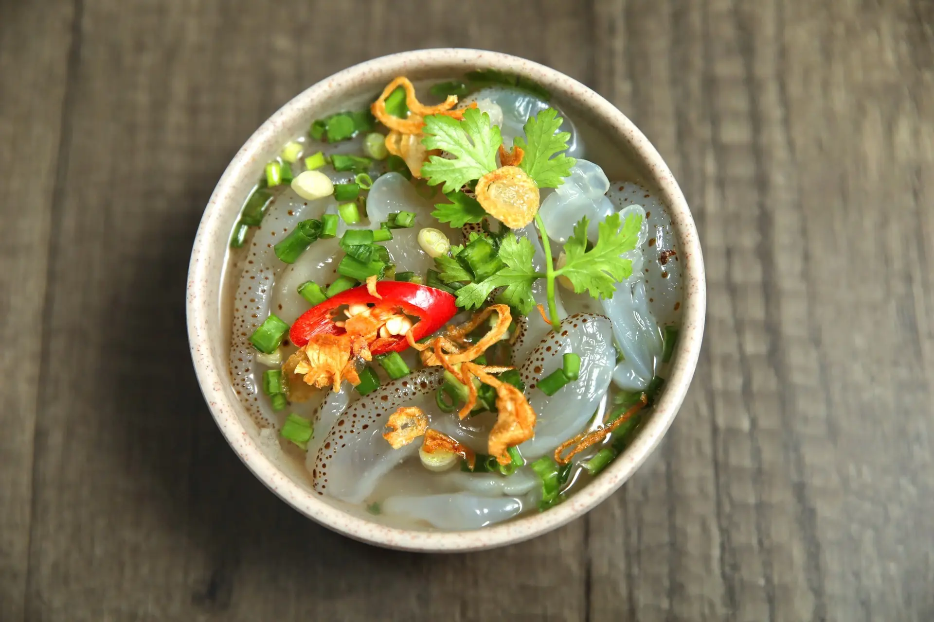 Hình ảnh Sứa 