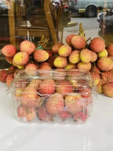 Hình ảnh Trái Vải - Hộp 500gr