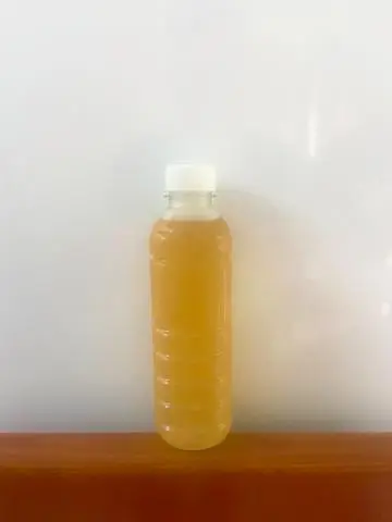 Hình ảnh Nước Trà Hoa Cúc Đường Phèn Nguyên Chất