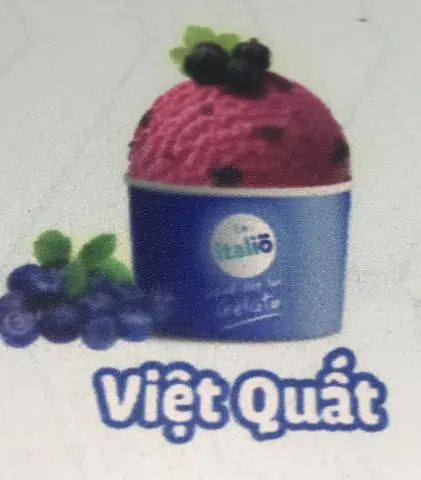 Hình ảnh Việt quất