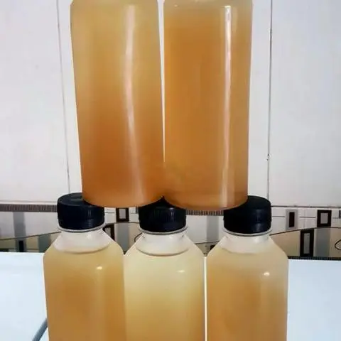 Hình ảnh Bông cúc