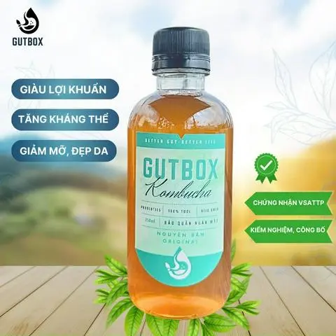 Hình ảnh Kombucha nguyên bản
