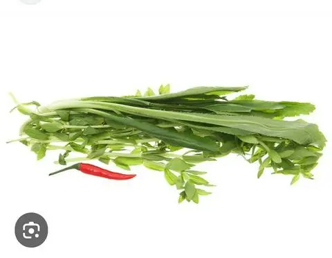 Hình ảnh RAU GAI ÔM