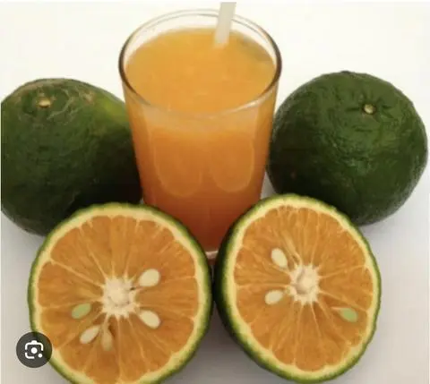 Hình ảnh Nứơc ép cam 