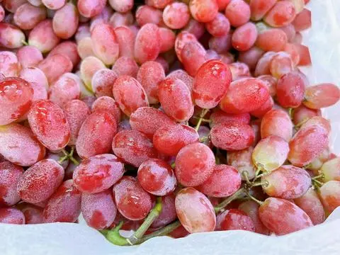 Hình ảnh Nho Đen Úc