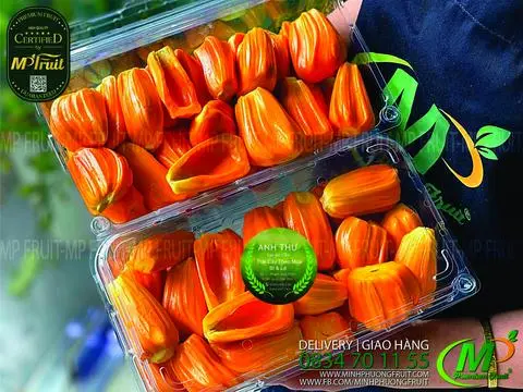 Hình ảnh Mít đỏ indonesia lột hộp 2kg