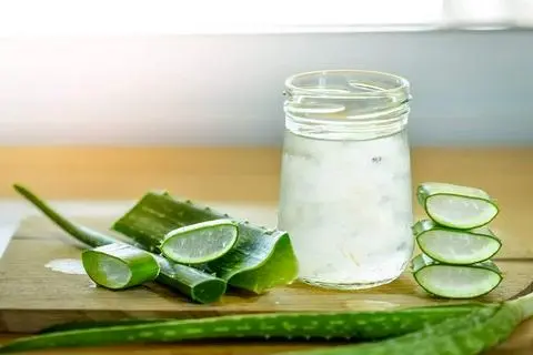 Hình ảnh Nha đam mủ trôm
