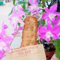 Hình ảnh Combo 10 chuối cốt dừa sầu riêng