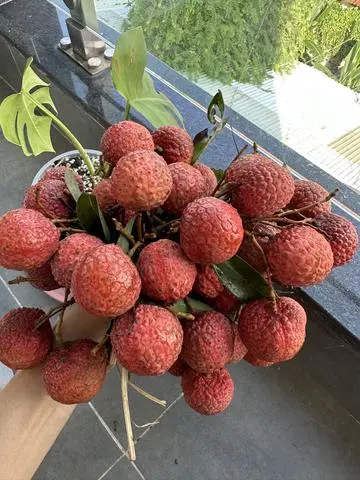 Hình ảnh Vải thiều  400g tách vỏ