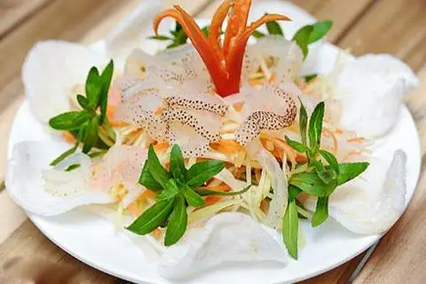 Hình ảnh Sứa