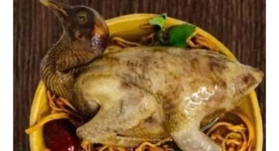 Hình ảnh Bồ câu thêm+ nước súp 