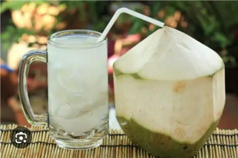 Hình ảnh dừa đá đường ly khổng lồ