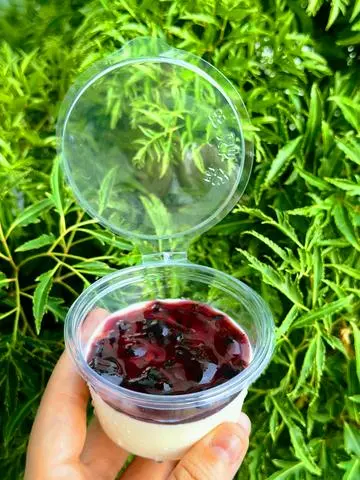 Hình ảnh Pannacota việt quất
