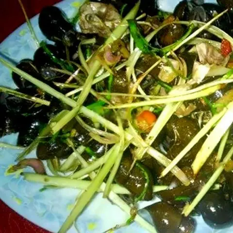 Hình ảnh Ốc đắng hấp sả