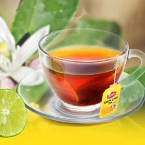 Hình ảnh Trà lipton nóng
