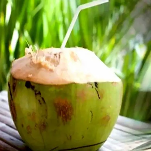 Hình ảnh Dừa Tươi Trái