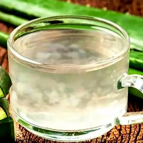 Hình ảnh Nha đam mũ trôm
